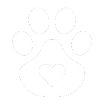 Seguro para PETS - Limpeza de estofados - Vinegocio Clean - Rio de Janeiro